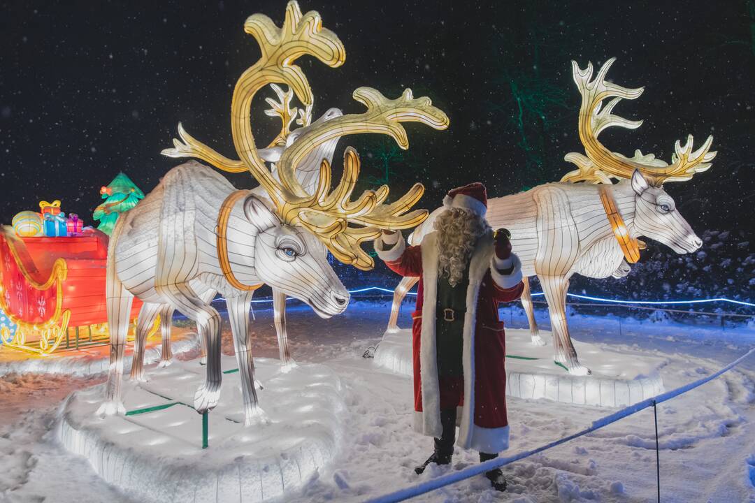 Šviesų festivalis botanikos sode