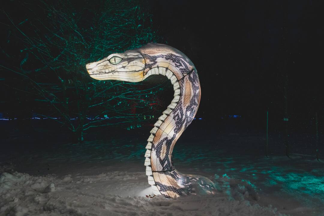 Šviesų festivalis botanikos sode