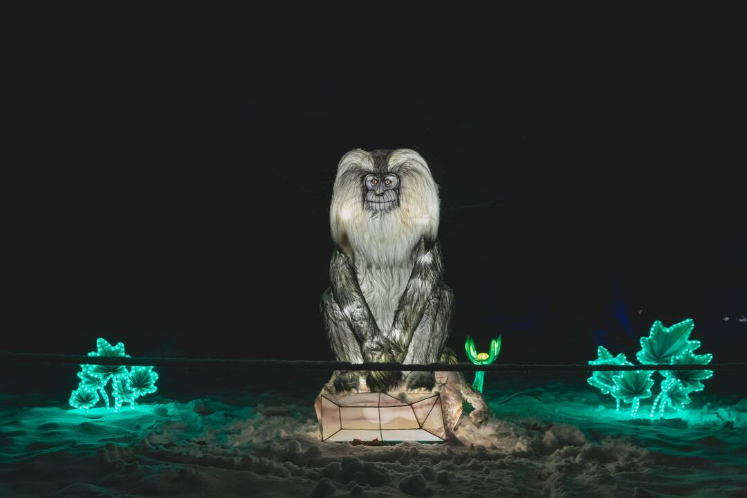 Šviesų festivalis botanikos sode