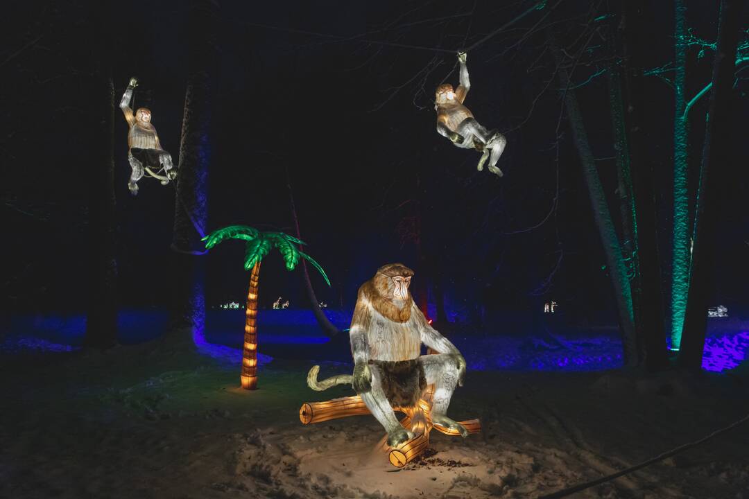 Šviesų festivalis botanikos sode