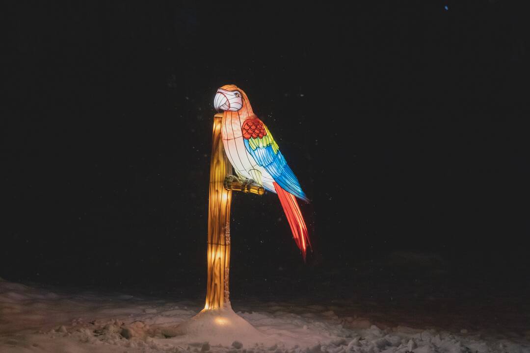 Šviesų festivalis botanikos sode