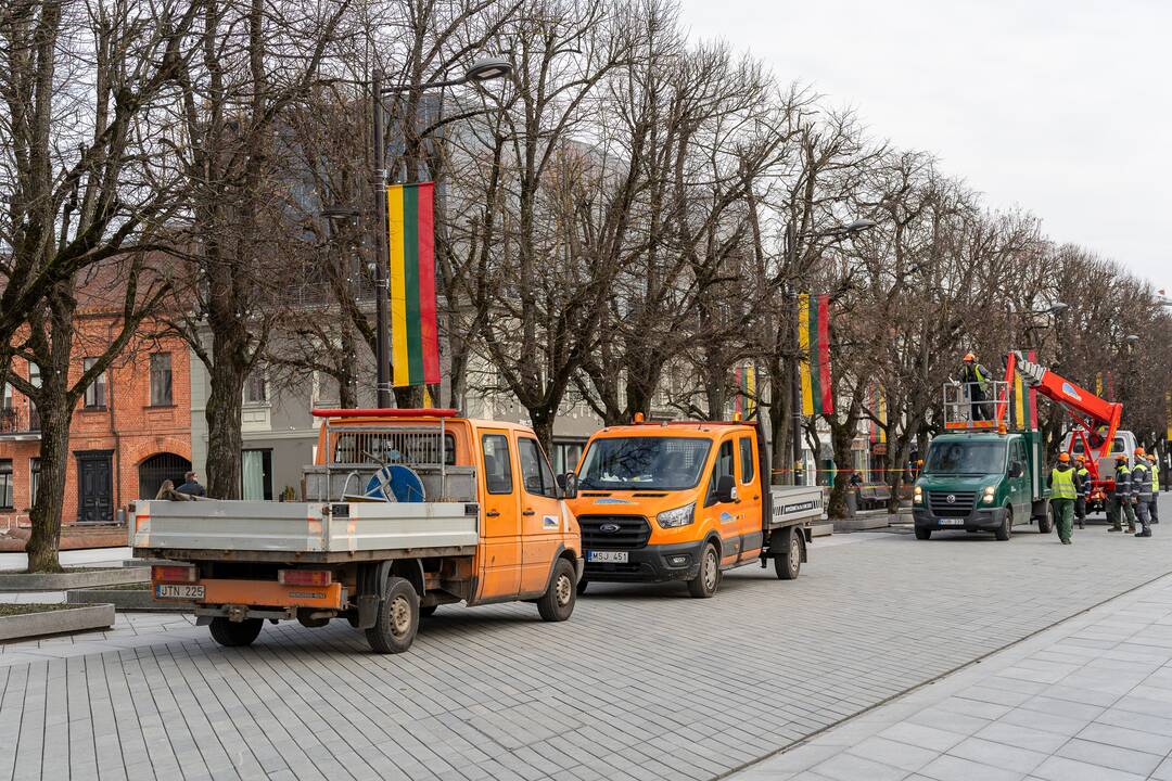 Laisvės alėjoje kertamos liepos