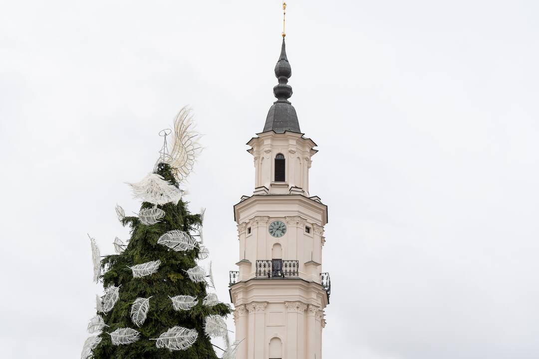 Pristatyta Kauno kalėdinė eglutė 