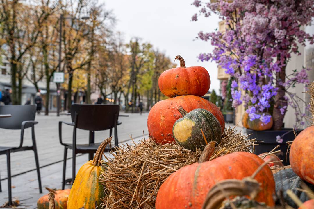 Kaunas puošiasi Helovino šventei