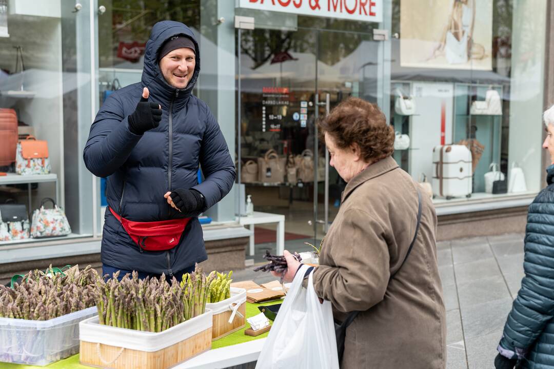 Pavasario mugė Kaune