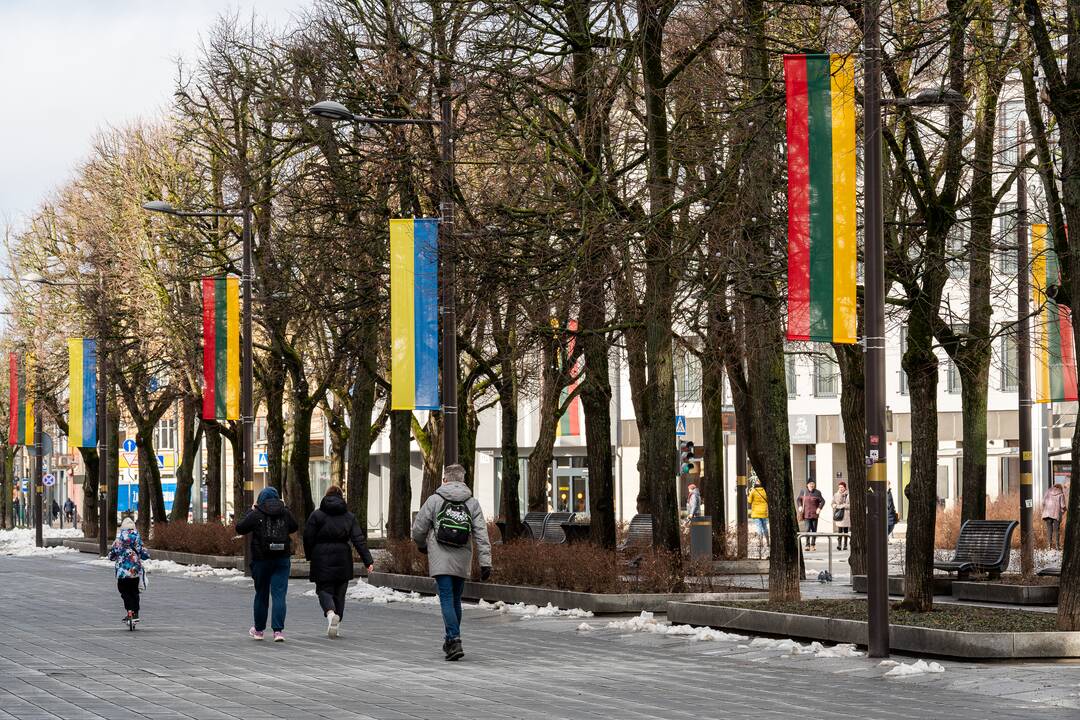 Lietuvos ir Ukrainos vėliavos Laisvės alėjoje