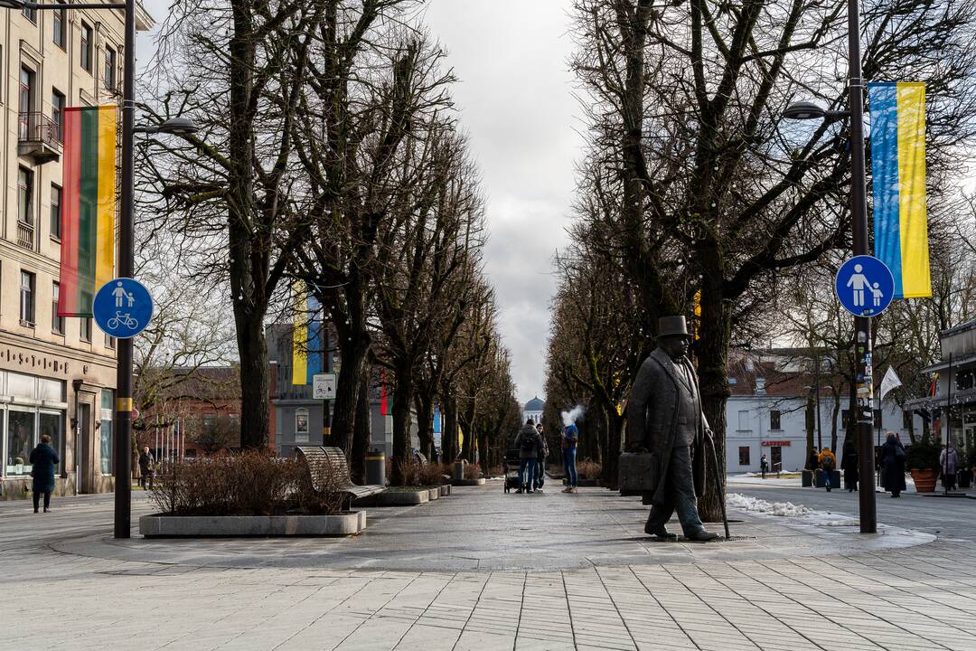 Lietuvos ir Ukrainos vėliavos Laisvės alėjoje