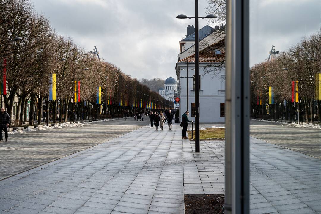 Lietuvos ir Ukrainos vėliavos Laisvės alėjoje