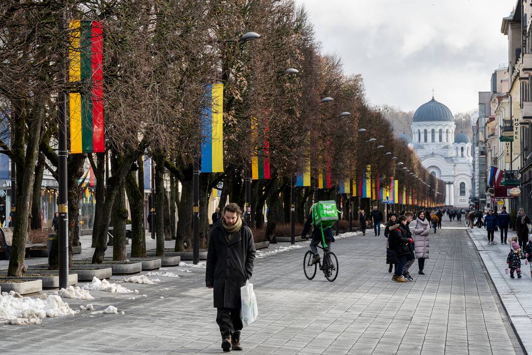 Lietuvos ir Ukrainos vėliavos Laisvės alėjoje