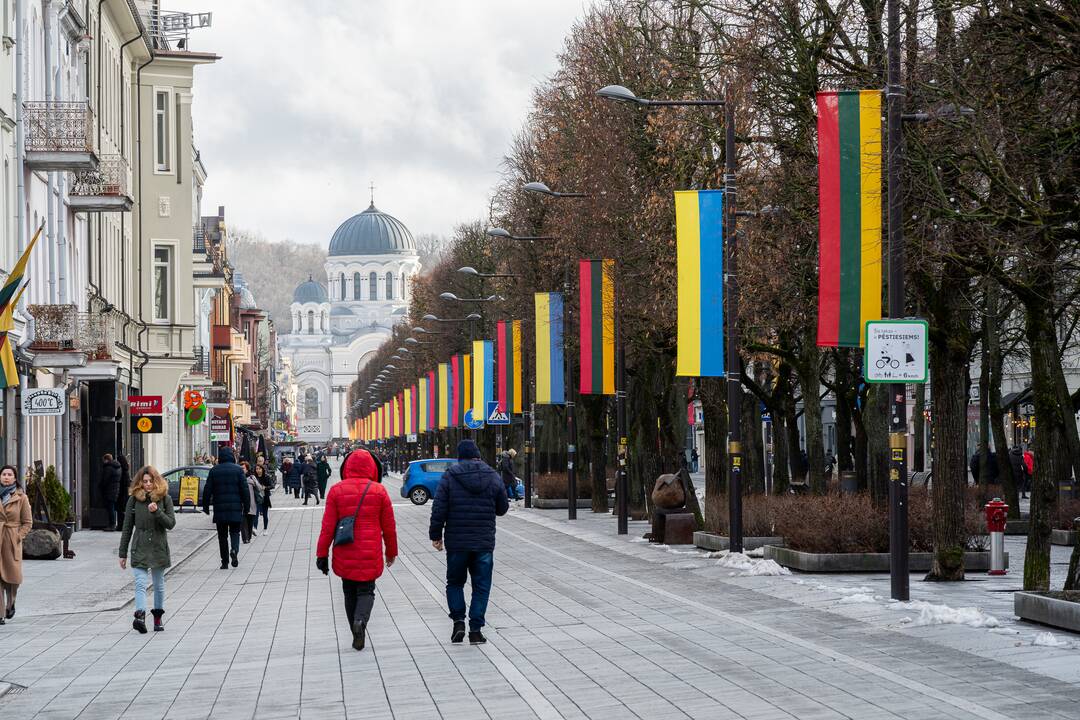 Lietuvos ir Ukrainos vėliavos Laisvės alėjoje