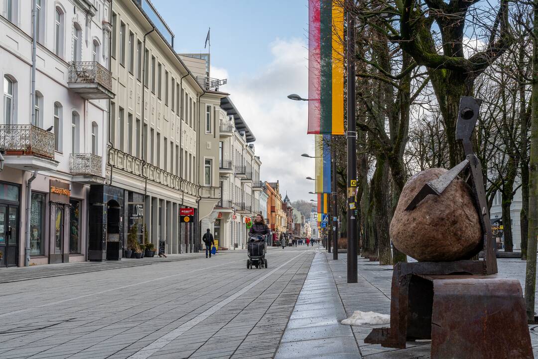 Lietuvos ir Ukrainos vėliavos Laisvės alėjoje