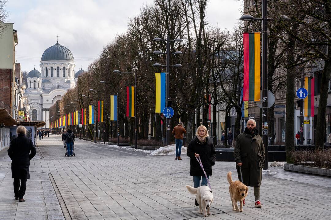Lietuvos ir Ukrainos vėliavos Laisvės alėjoje