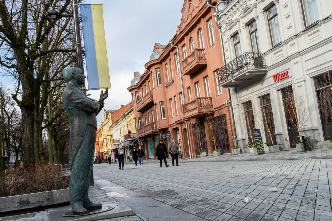 Lietuvos ir Ukrainos vėliavos Laisvės alėjoje