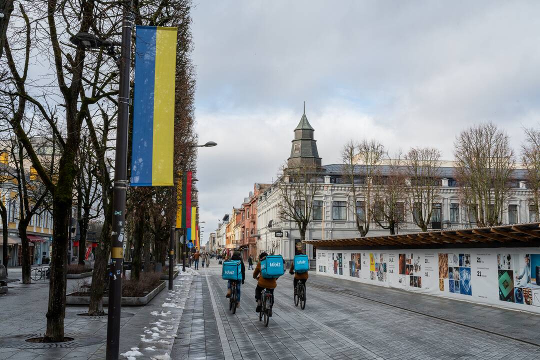 Lietuvos ir Ukrainos vėliavos Laisvės alėjoje