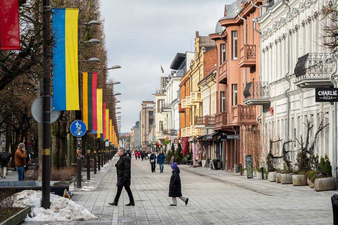 Lietuvos ir Ukrainos vėliavos Laisvės alėjoje