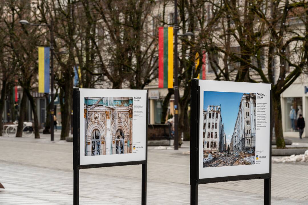 Lietuvos ir Ukrainos vėliavos Laisvės alėjoje
