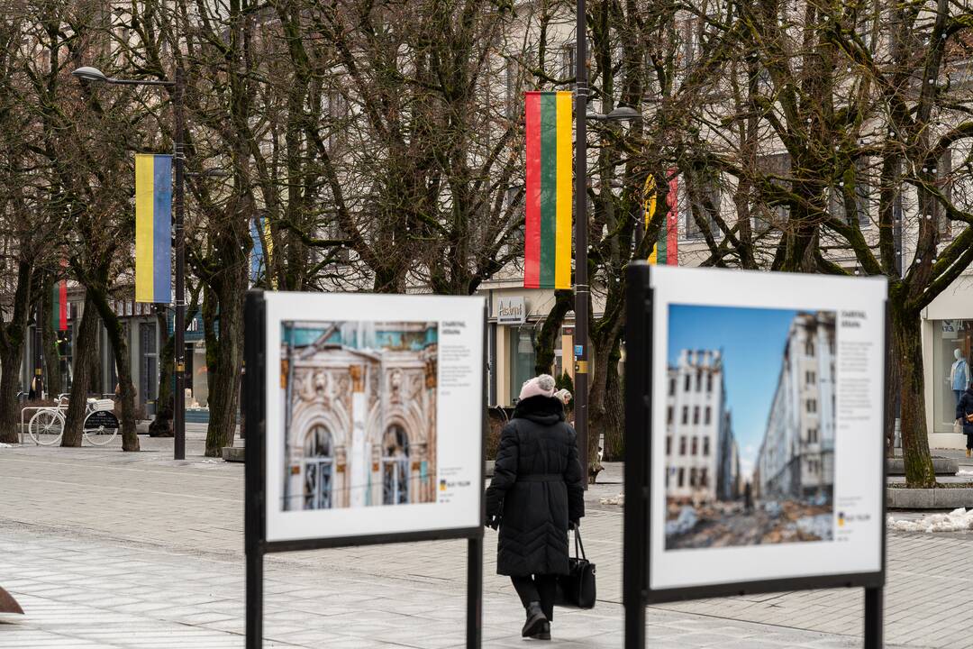 Lietuvos ir Ukrainos vėliavos Laisvės alėjoje