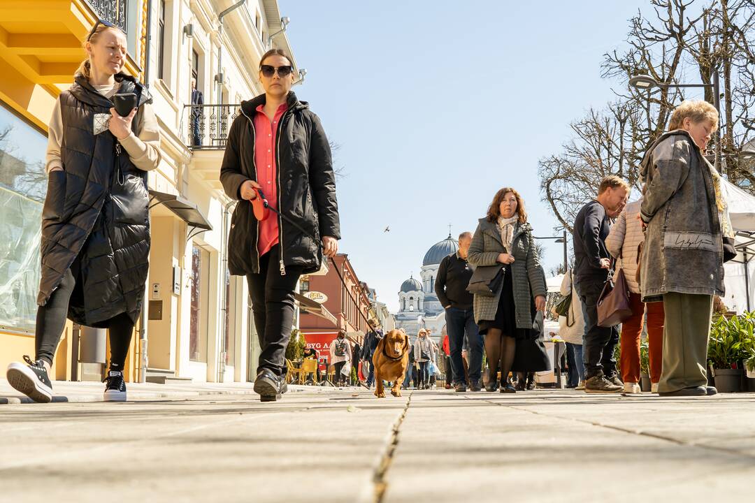 Kaune vyksta mugė „Pavasaris 2023“