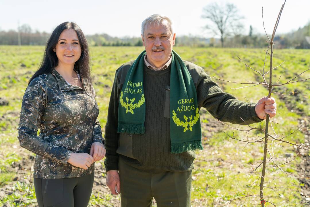 Ukrainos aukų atminties ąžuolynas 