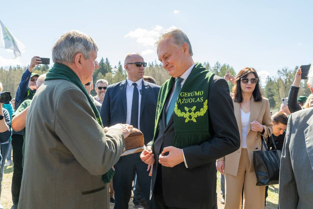 Ukrainos aukų atminties ąžuolynas 