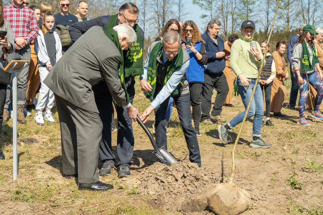 Ukrainos aukų atminties ąžuolynas 