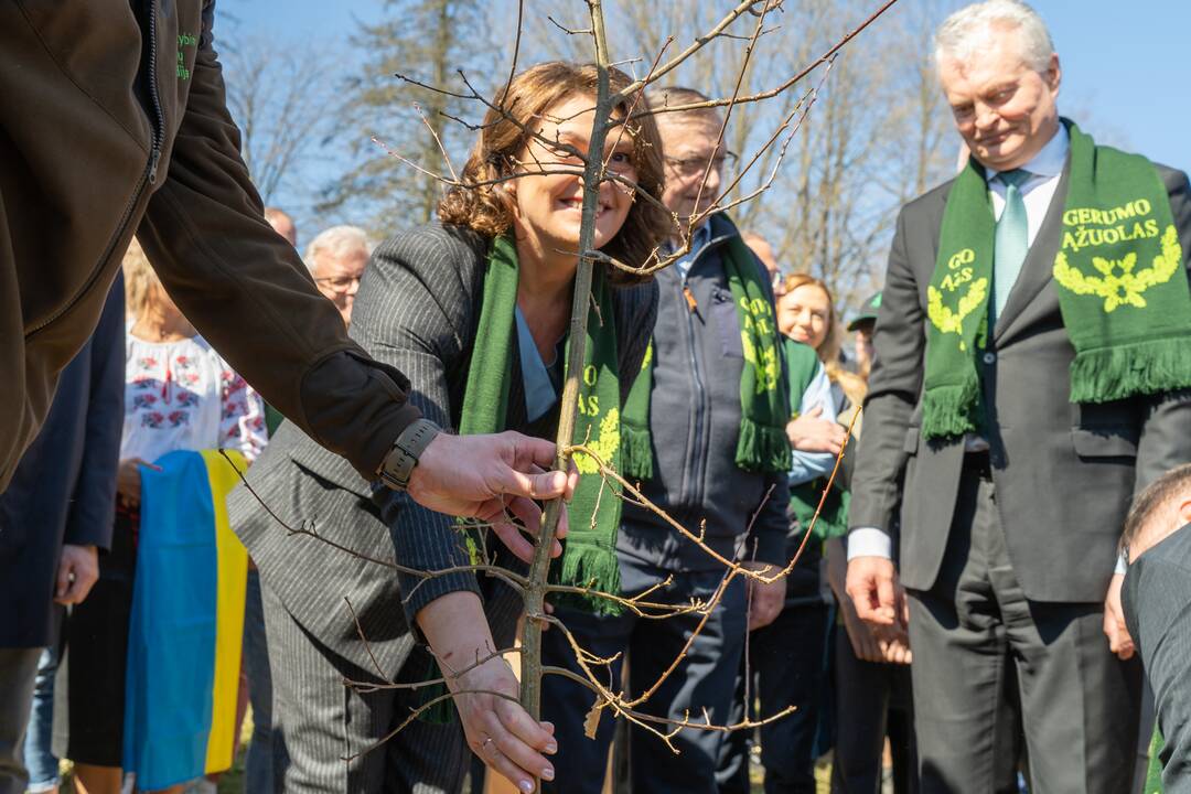 Ukrainos aukų atminties ąžuolynas 