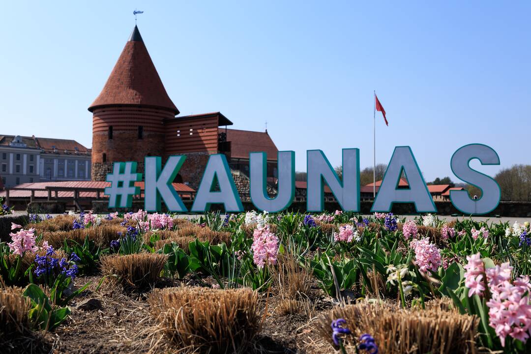 Kauniečius ir svečius džiugina gėlės miesto erdvėse