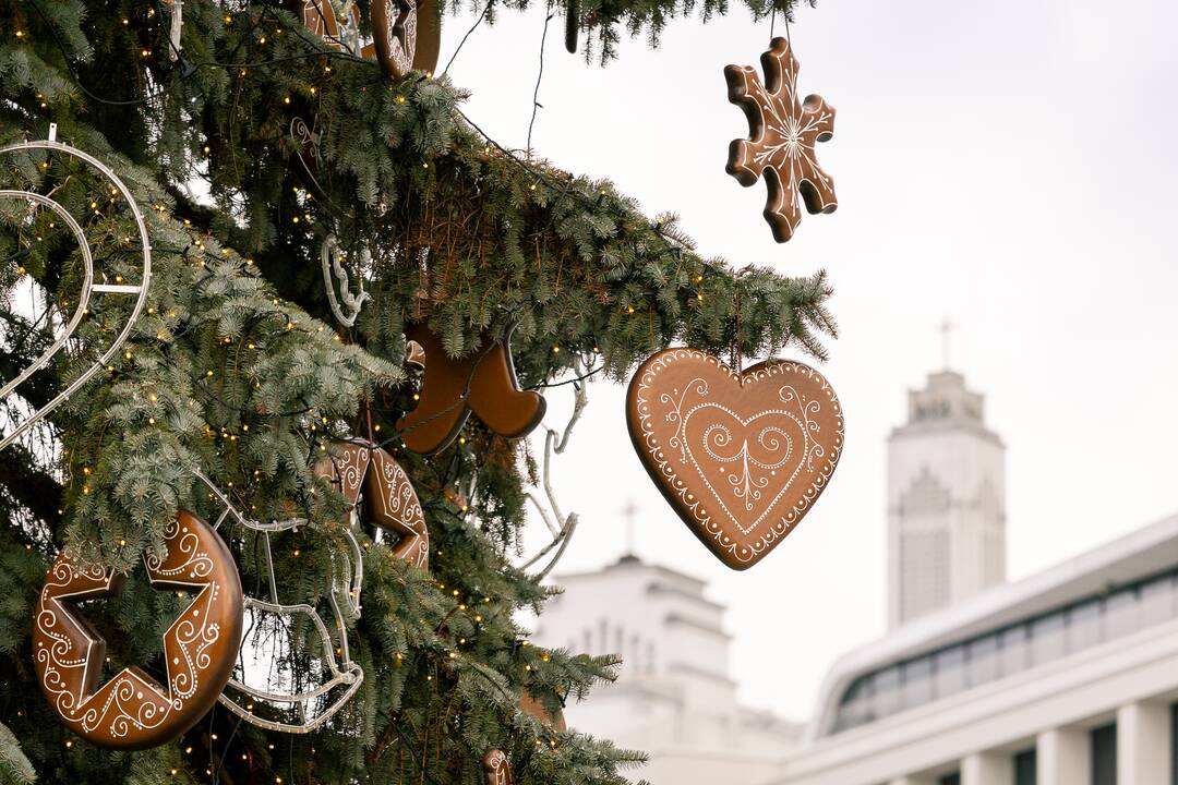 Kauno eglutė skaičiuoja paskutines dienas