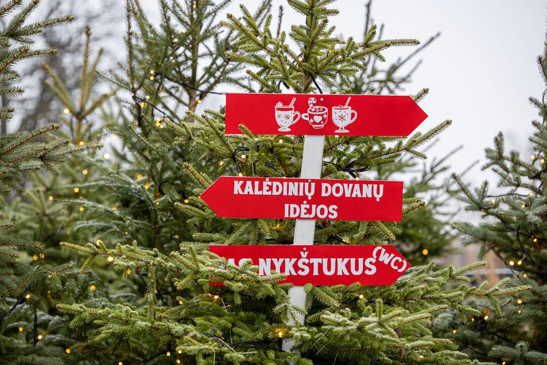 Kalėdos Lietuvos zoologijos sode