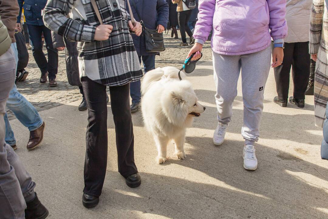Kauno Kaziuko mugės šeštadienis