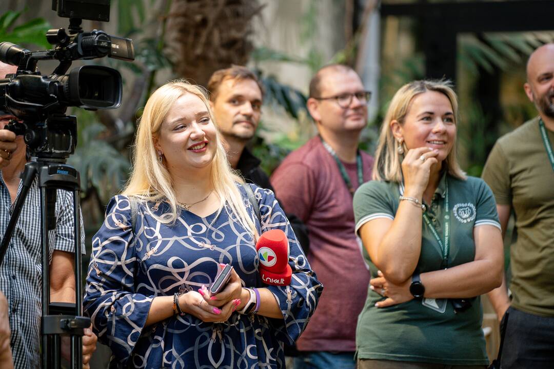 Lietuvos zoologijos sode – naujokas tinginys