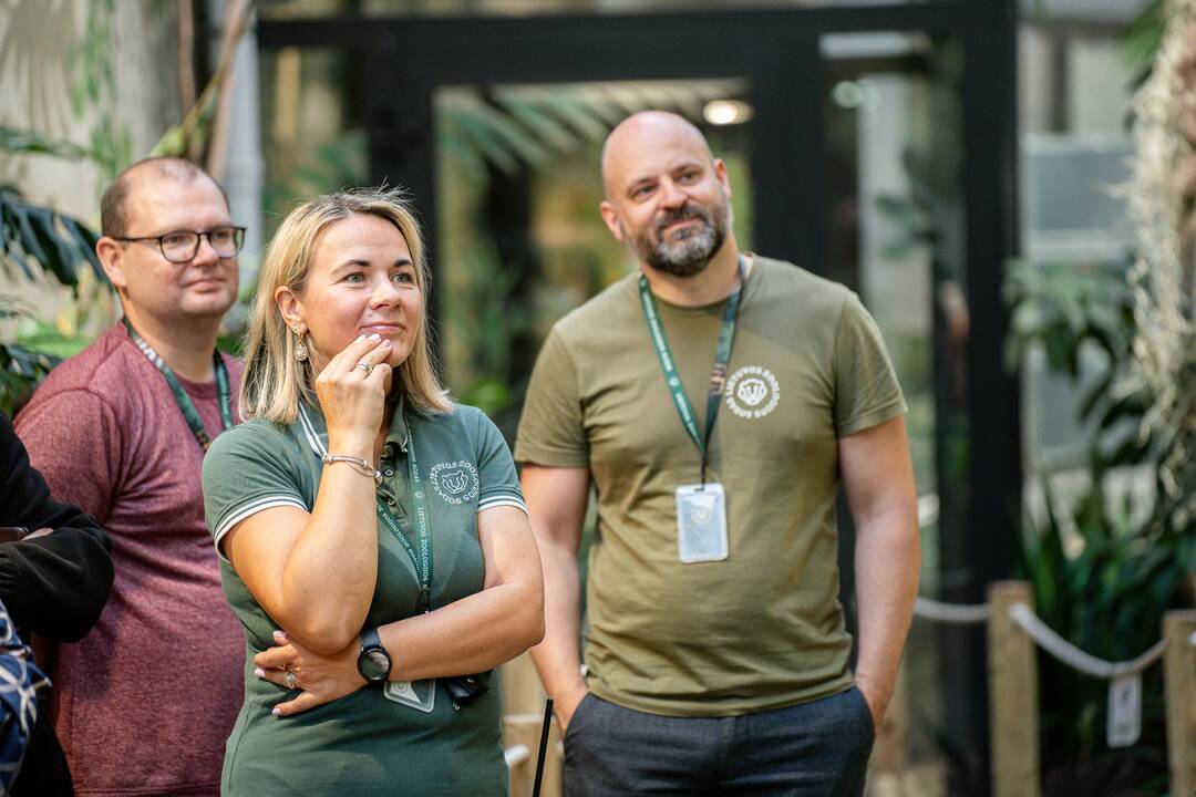 Lietuvos zoologijos sode – naujokas tinginys