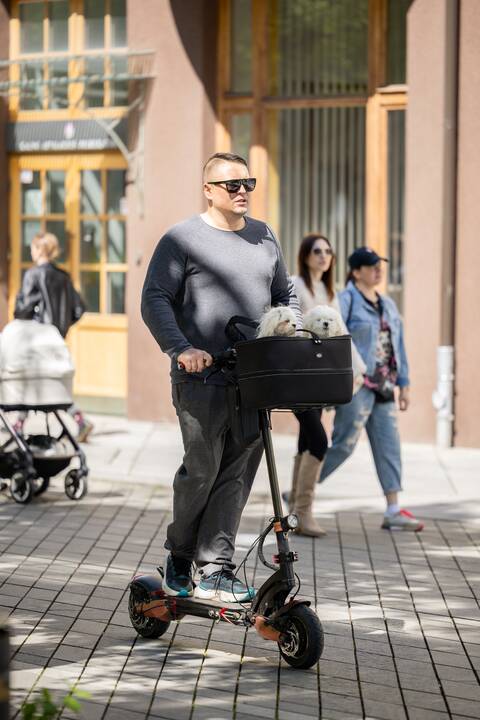 Kauniečių diena (2025-05-20)
