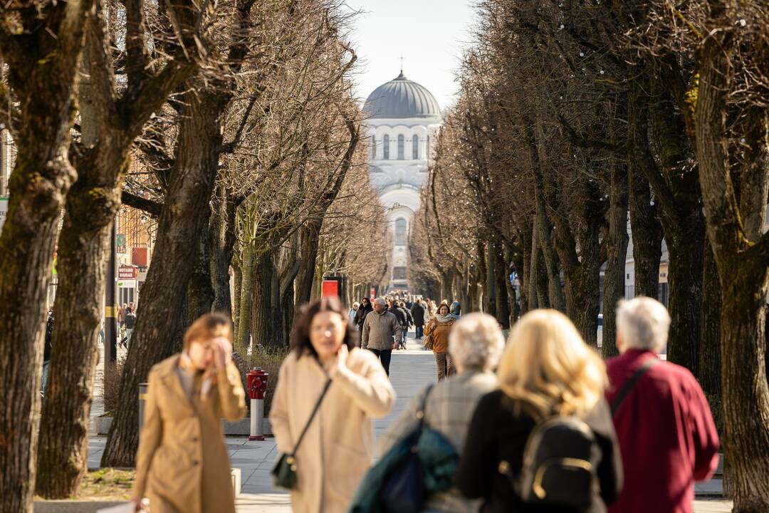 Kauniečių diena (2025-04-02)