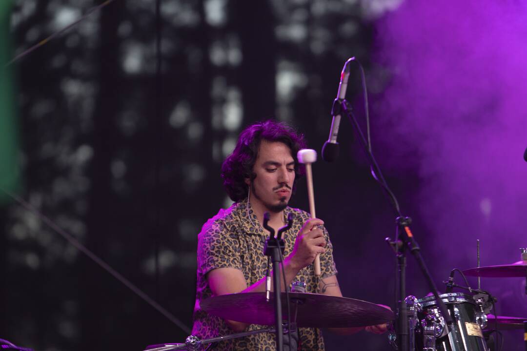 Bardų festivalis "Akacijų alėja"