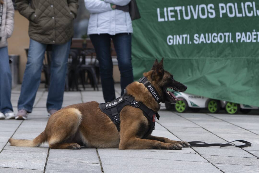 Saugaus eismo diena Kaune
