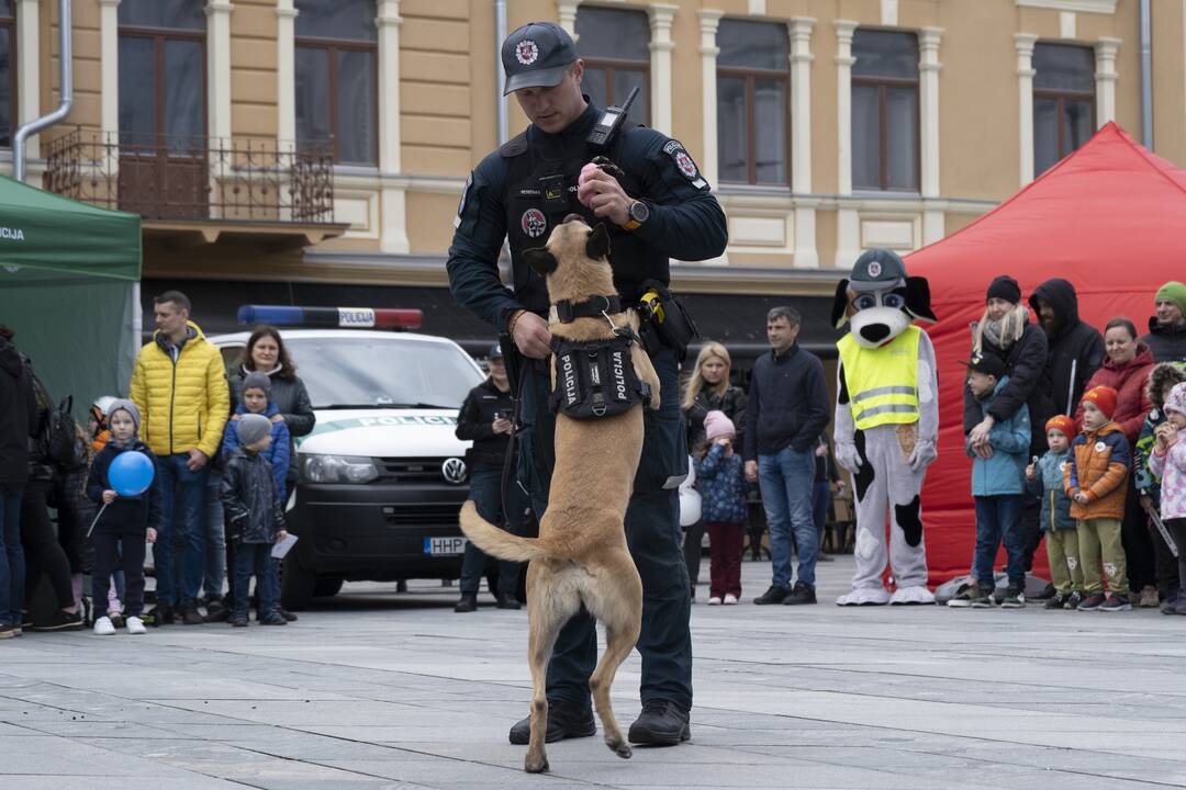 Saugaus eismo diena Kaune