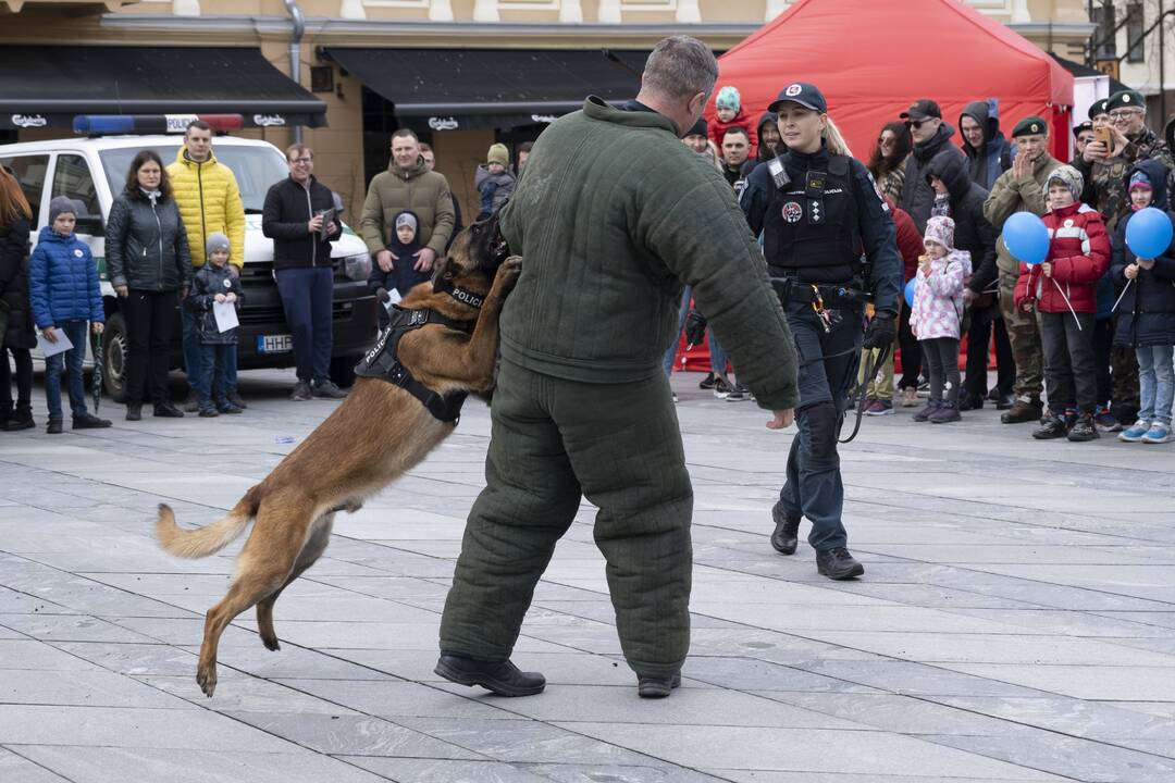 Saugaus eismo diena Kaune
