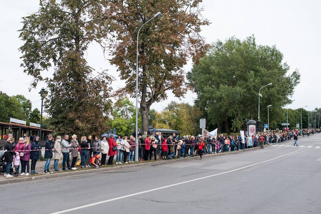 Popiežiaus kelionė iki Katedros aikštės