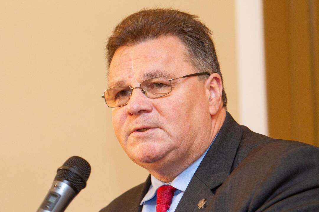 L. Linkevičius ragina nustatyti ekonominių santykių su Kinija taisykles