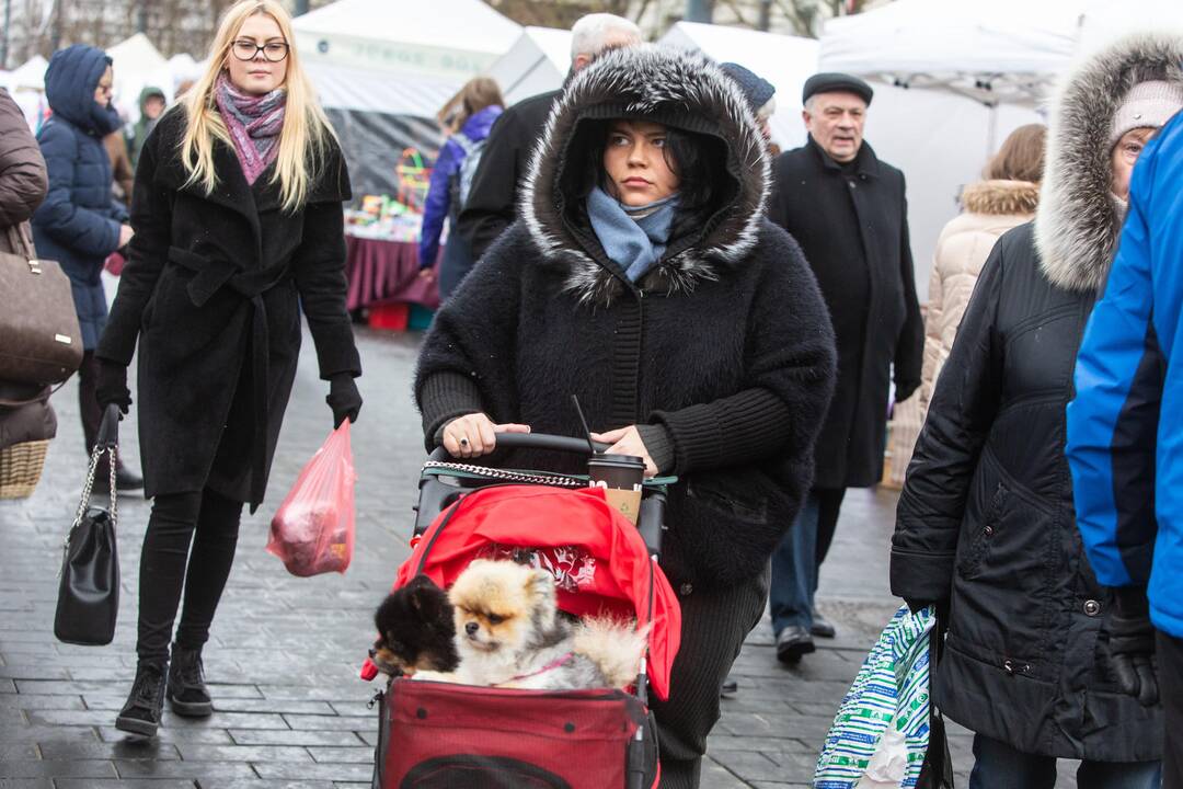 Vilniuje prasidėjo tradicinė Kaziuko mugė