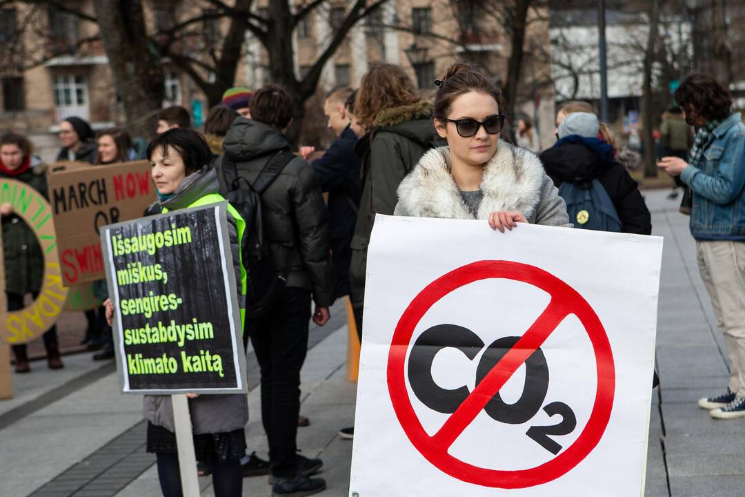 Pasaulinio jaunimo klimato streikas Vilniuje