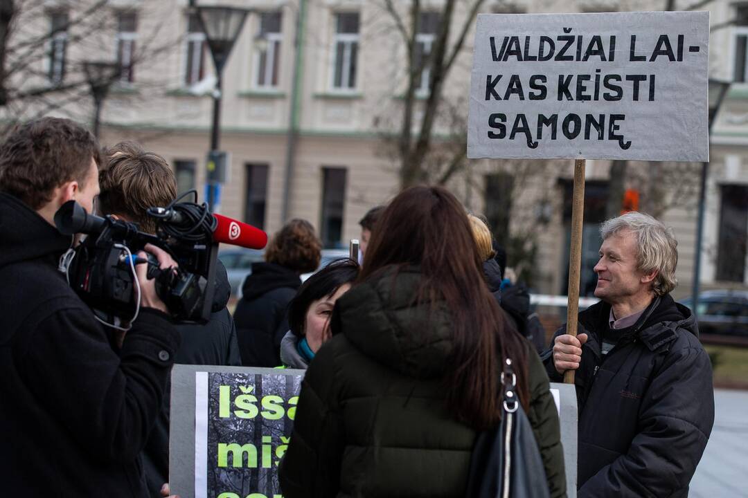 Pasaulinio jaunimo klimato streikas Vilniuje