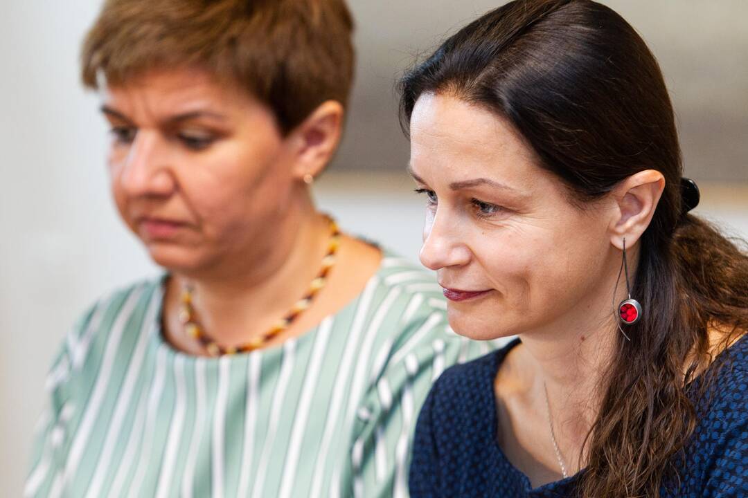 Spaudos konferencija dėl Gedimino kalno
