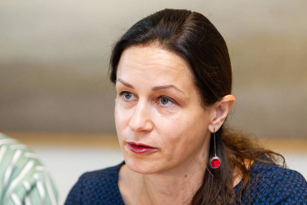 Spaudos konferencija dėl Gedimino kalno