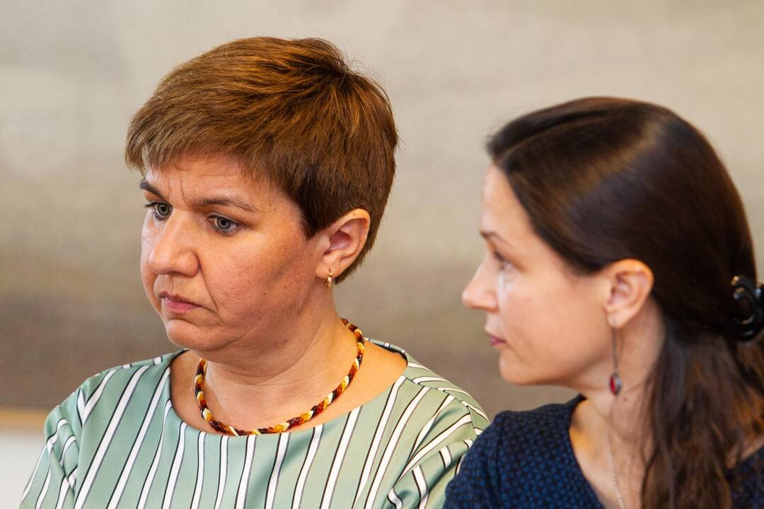 Spaudos konferencija dėl Gedimino kalno
