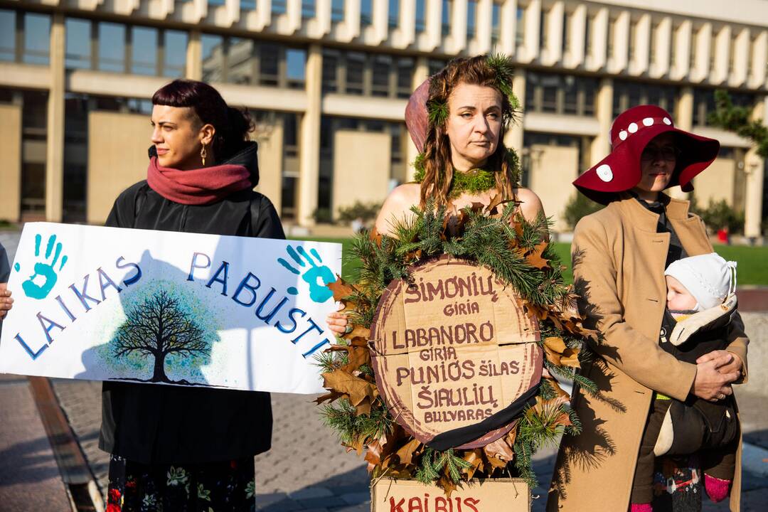 Protesto akcija „Girios ateina į Vilnių“