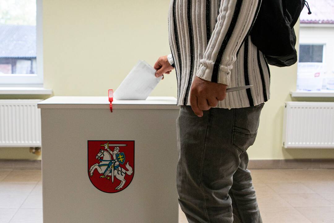 Apklausa: dauguma gyventojų mano, kad meras turi būti renkamas tiesiogiai