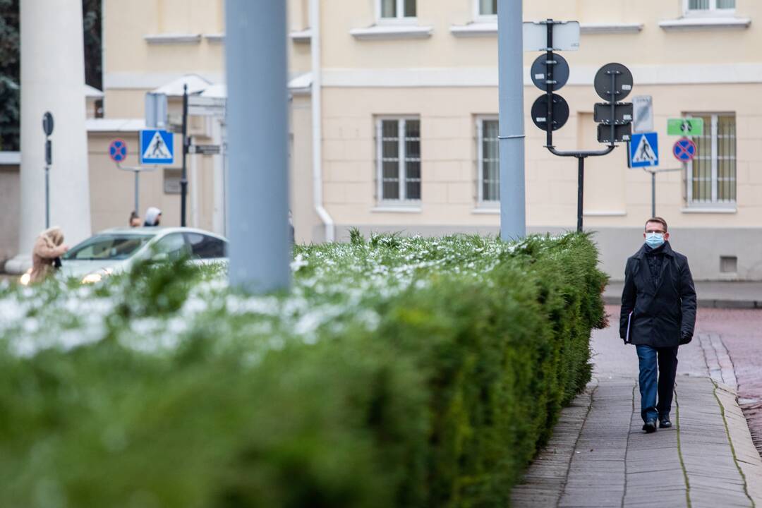 G. Nausėda susitiko su kandidatu į ministrus A. Dulkiu