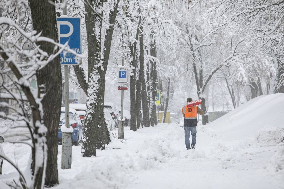 Gausus sniegas užklojo Vilnių